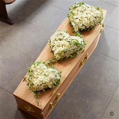 Forever in our Hearts