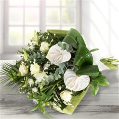 Symphony - Wrapped Traditionally